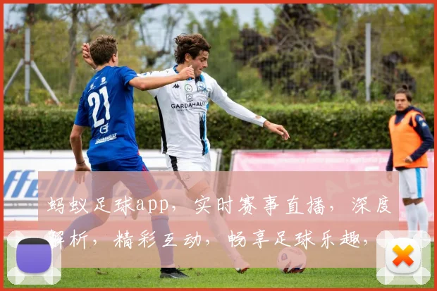 蚂蚁足球app，实时赛事直播，深度解析，精彩互动，畅享足球乐趣，一触即达