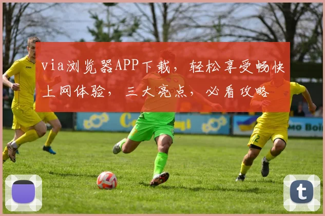 via浏览器APP下载，轻松享受畅快上网体验，三大亮点，必看攻略